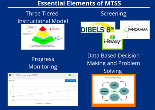 Essential Elements of MTSS